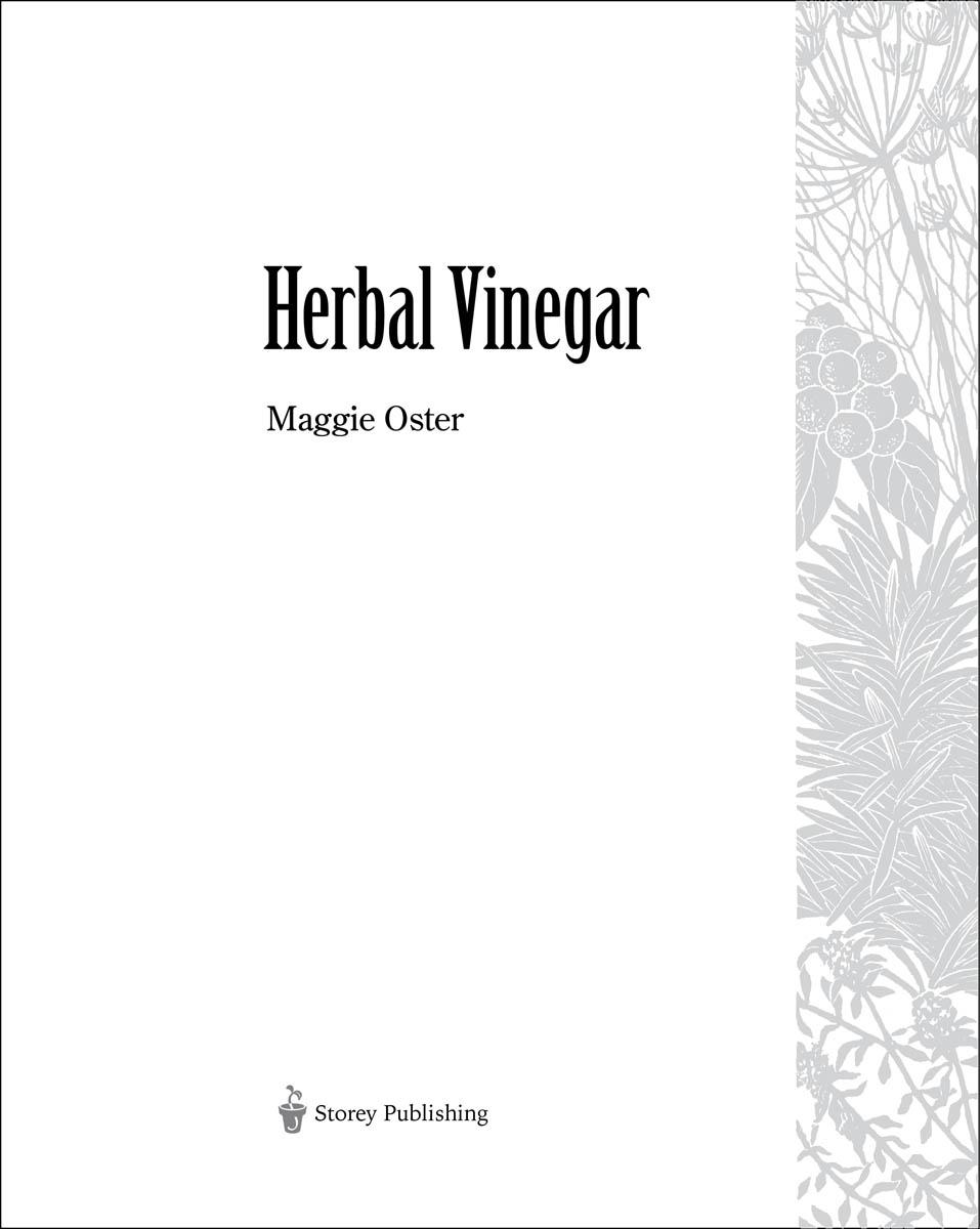 Contents Preface Some Thoughts about Vinegar Some of lifes most worthwhile - photo 2