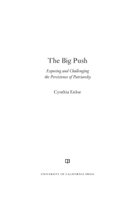 Cynthia Enloe The Big Push: Exposing and Challenging the Persistence of Patriarchy