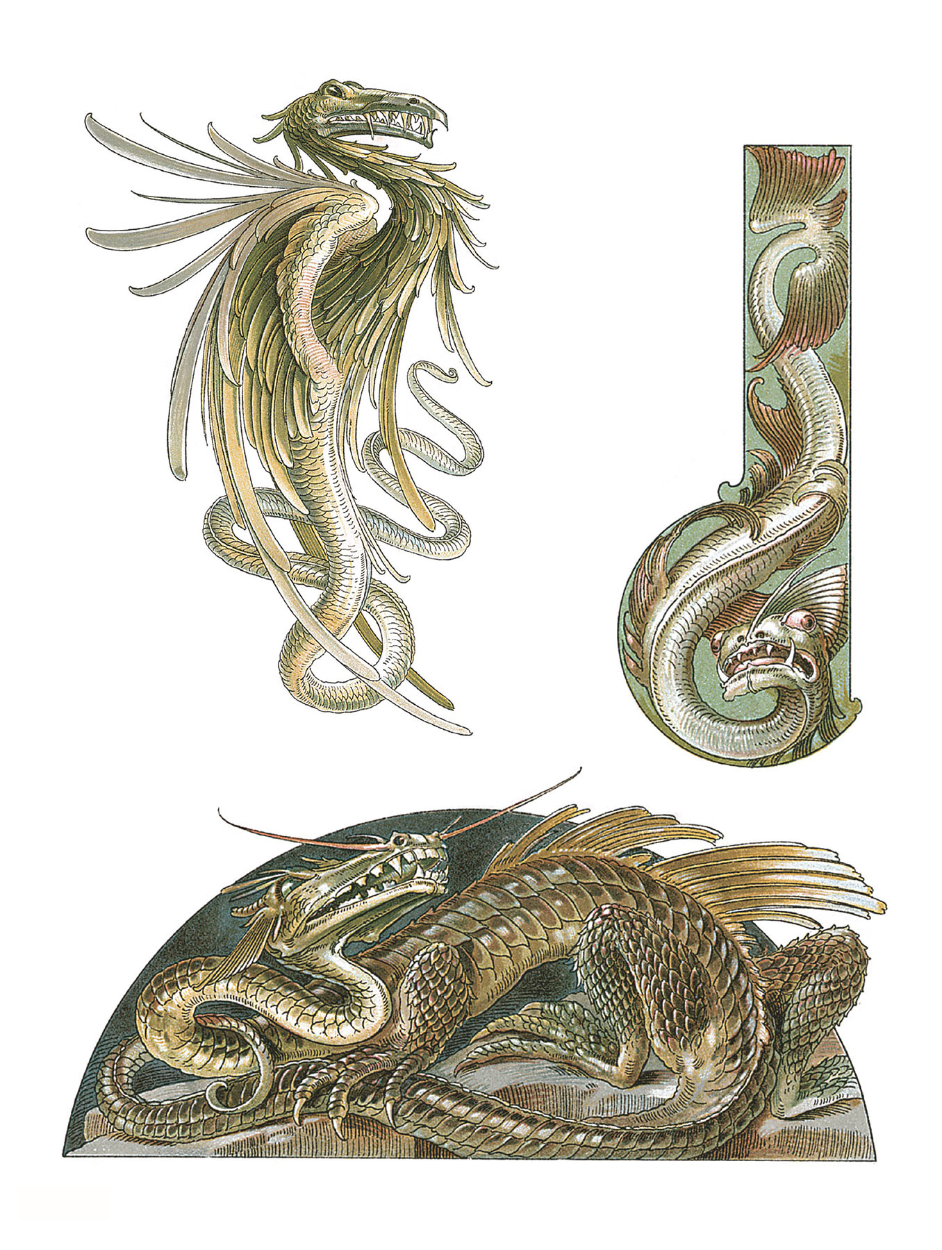 Fantastic Beasts of the Nineteenth Century Dragons Birds and Incredible Sea Creatures - photo 20