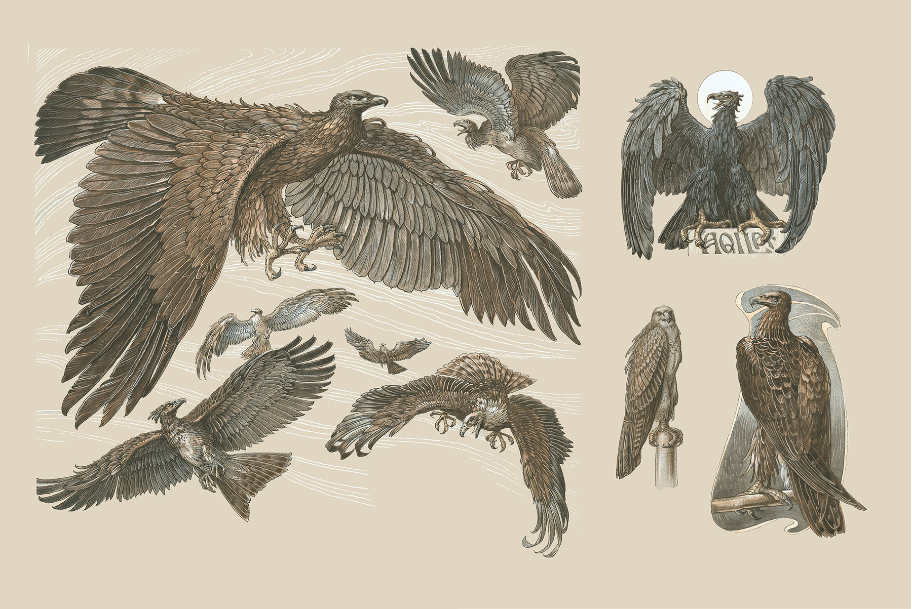 Fantastic Beasts of the Nineteenth Century Dragons Birds and Incredible Sea Creatures - photo 25