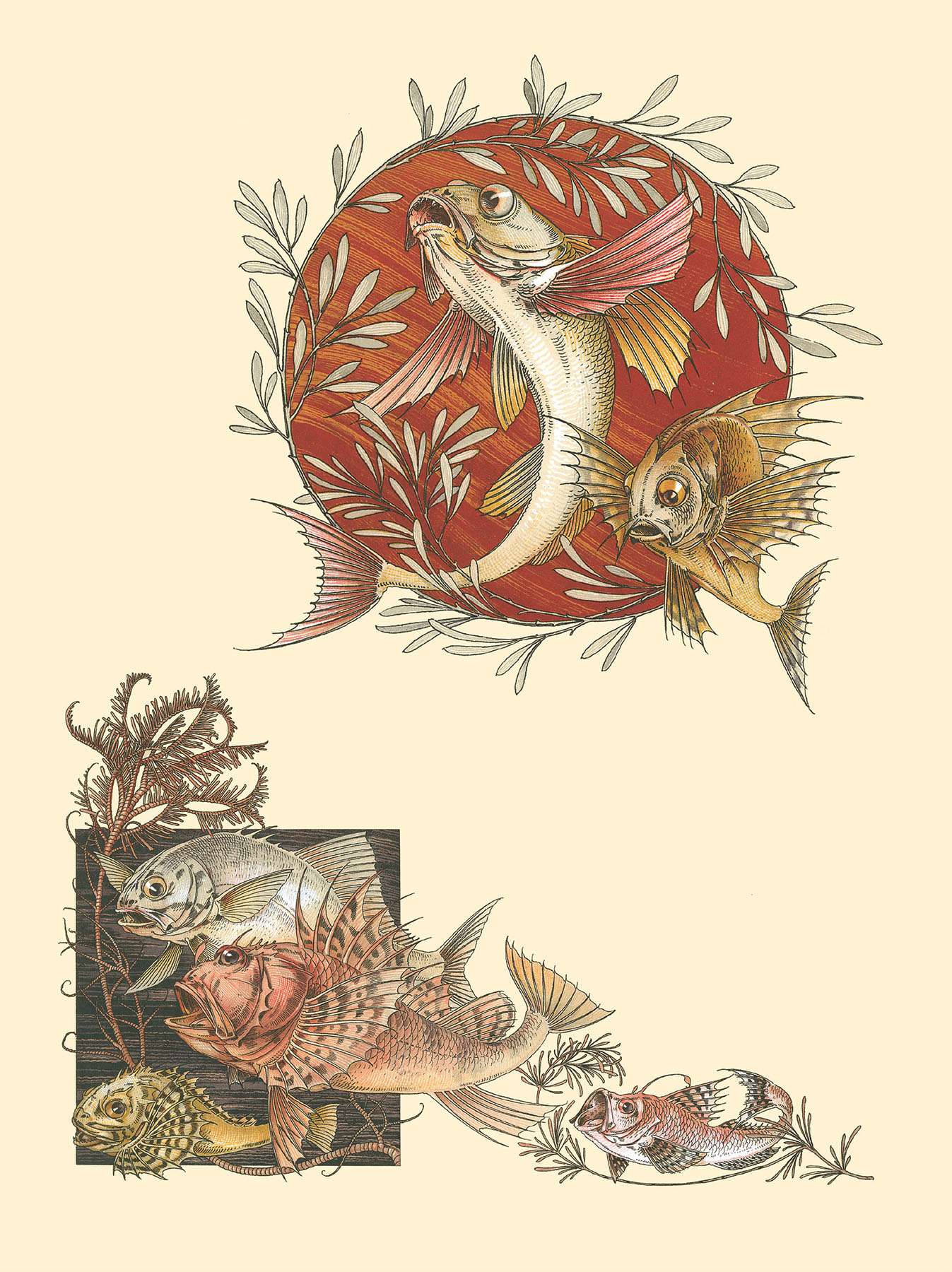 Fantastic Beasts of the Nineteenth Century Dragons Birds and Incredible Sea Creatures - photo 34