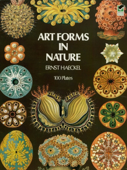 Ernst Haeckel Art Forms in Nature