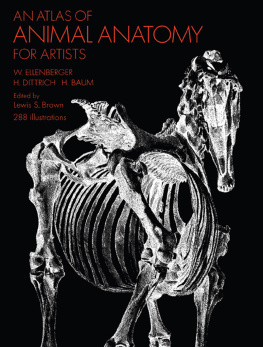 W. Ellenberger - An Atlas of Animal Anatomy for Artists