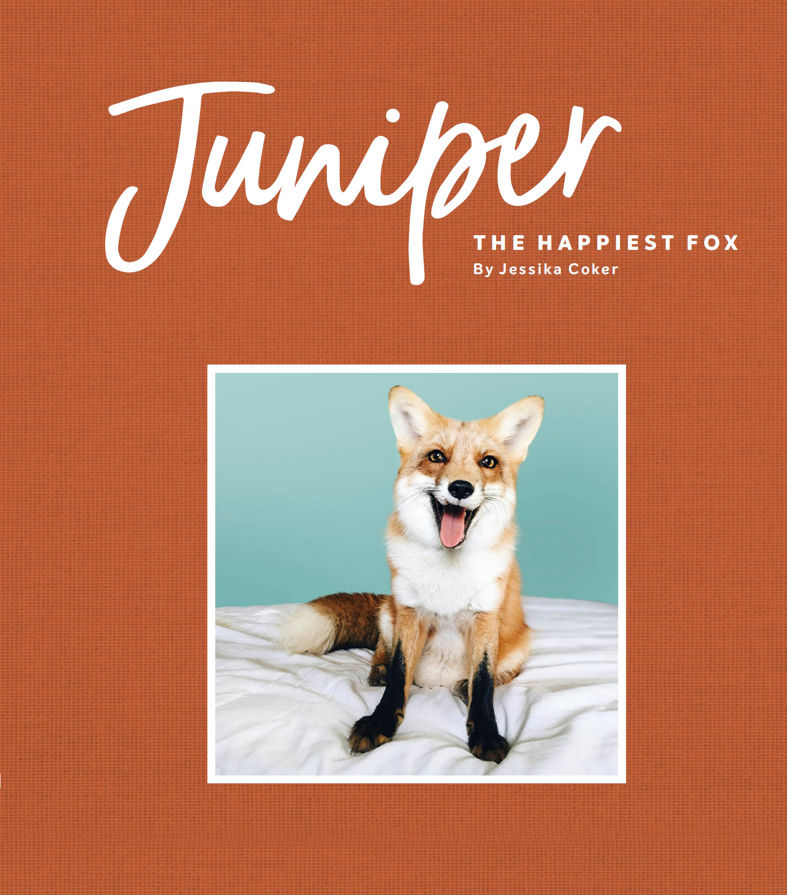 Juniper The Happiest Fox - image 1