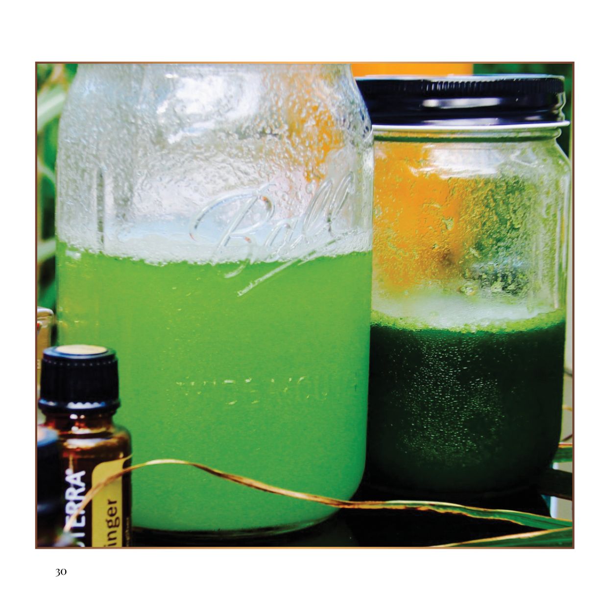 The Essential Mixologist 22 original essential oil infused recipes - photo 30