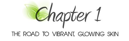 Chapter 1 The Road to Vibrant Glowing Skin The First Steps to Healthier - photo 4