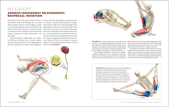 FIGURE 1 The Key Concepts show you how to apply biomechanics and physiology to - photo 3