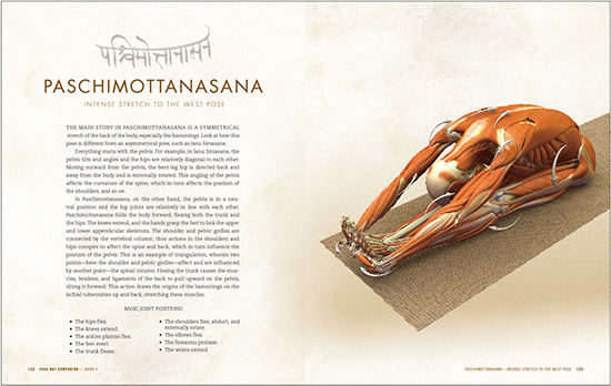 FIGURE 2 The opening page for each pose illustrates the basic joint actions and - photo 4