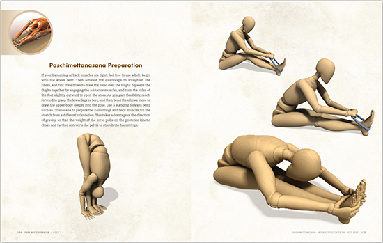 FIGURE 3 Use the preparatory section as a guide for how to enter the pose If - photo 5