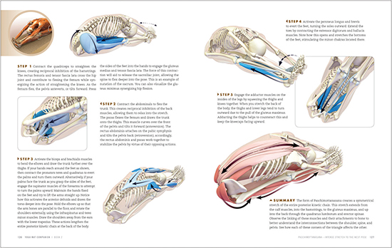 FIGURE 4 Each pose comes with a series of steps for engaging the muscles that - photo 6