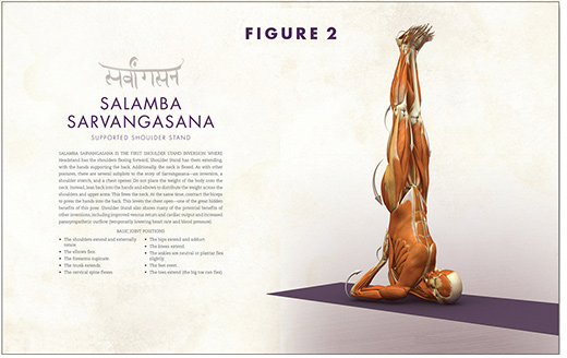 FIGURE 2 The opening page for each pose illustrates the basic joint actions - photo 4