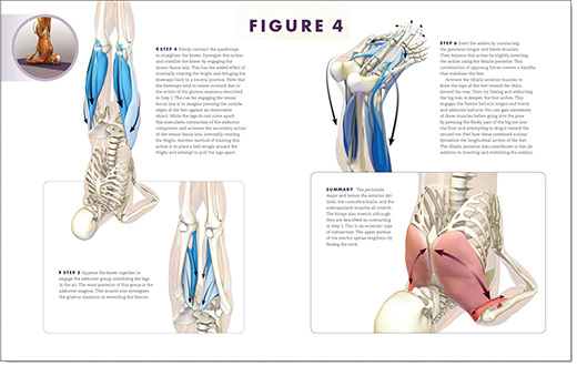 FIGURE 4 Each pose comes with a series of steps for engaging the muscles that - photo 6