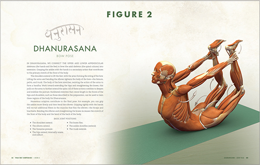 FIGURE 2 The opening page for each pose illustrates the basic joint actions - photo 4