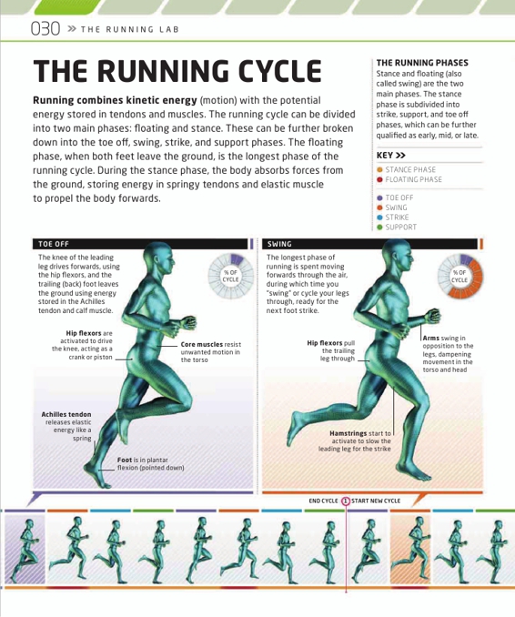 The Complete Running and Marathon Book - photo 31