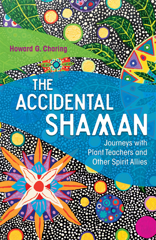 THE ACCIDENTAL SHAMAN The authors honest narration of his long exploration - photo 1