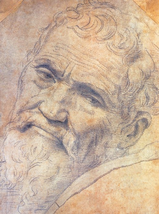 Portrait of Michelangelo ca 1533 Black chalk Teyler Museum Haarlem - photo 2