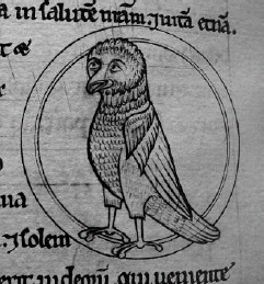 A Bestiary Owl 12th century So there are many owls to be examined here - photo 5