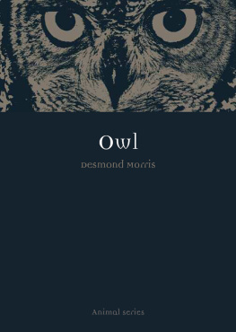 Desmond Morris - Owl