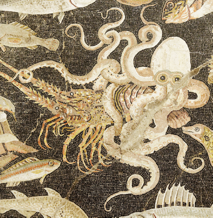 Mosaic from a ruin at Pompeii The octopus itself is an ancient invertebrate - photo 6