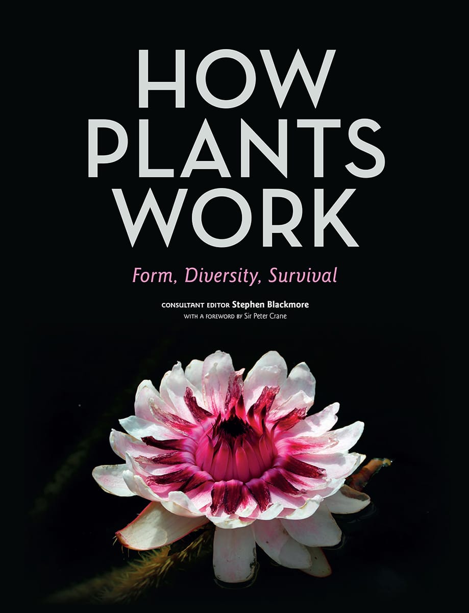 HOW PLANTS WORK Form Diversity Survival CONSULTANT EDITOR Stephen Blackmore - photo 1