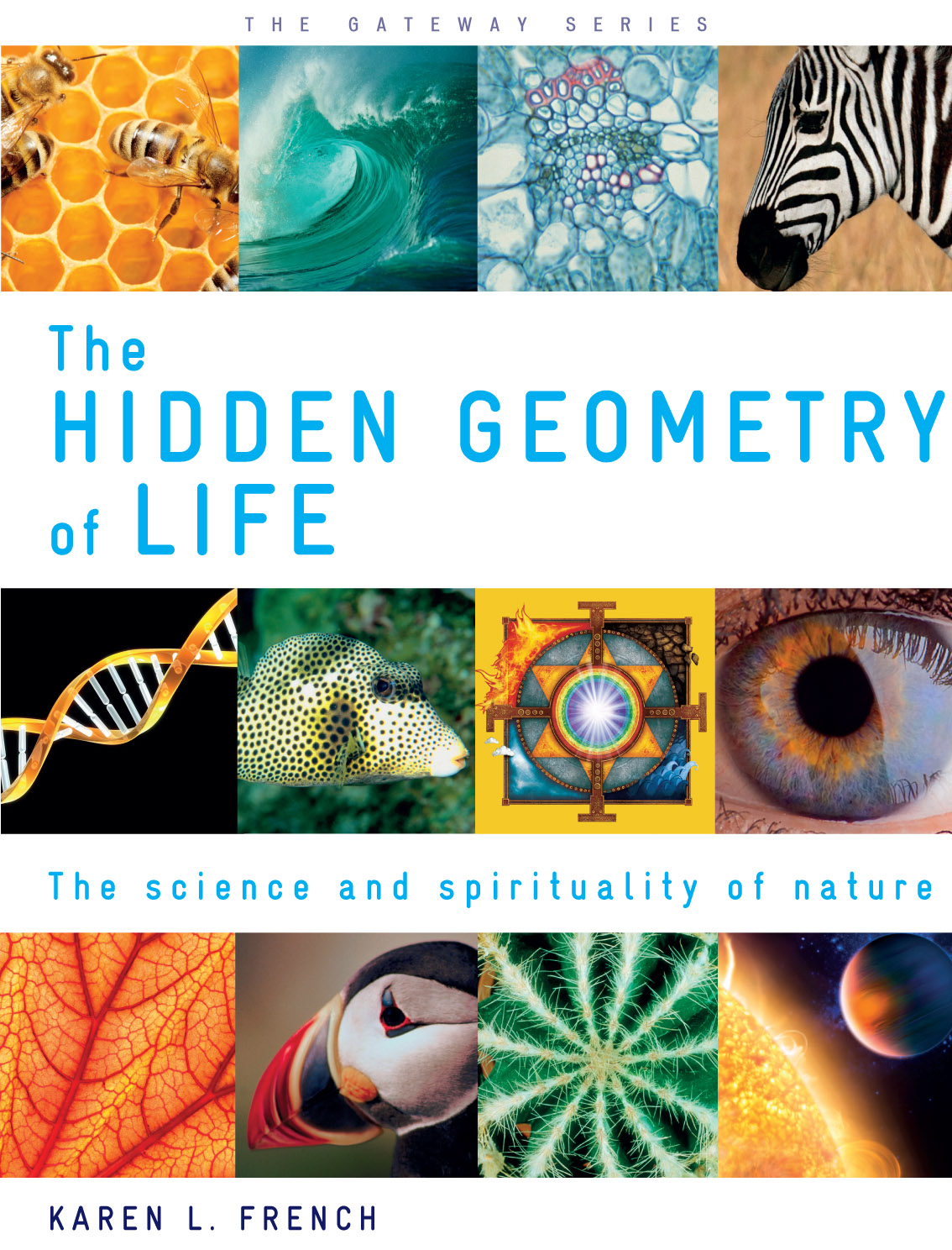 The Hidden Geometry of Life - photo 1