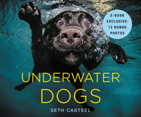 Underwater Dogs Sparkles Bug-a-Boo This book is dedicated to the humans - photo 5