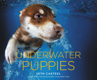 Underwater Puppies Underwater Dogs Sparkles - photo 4