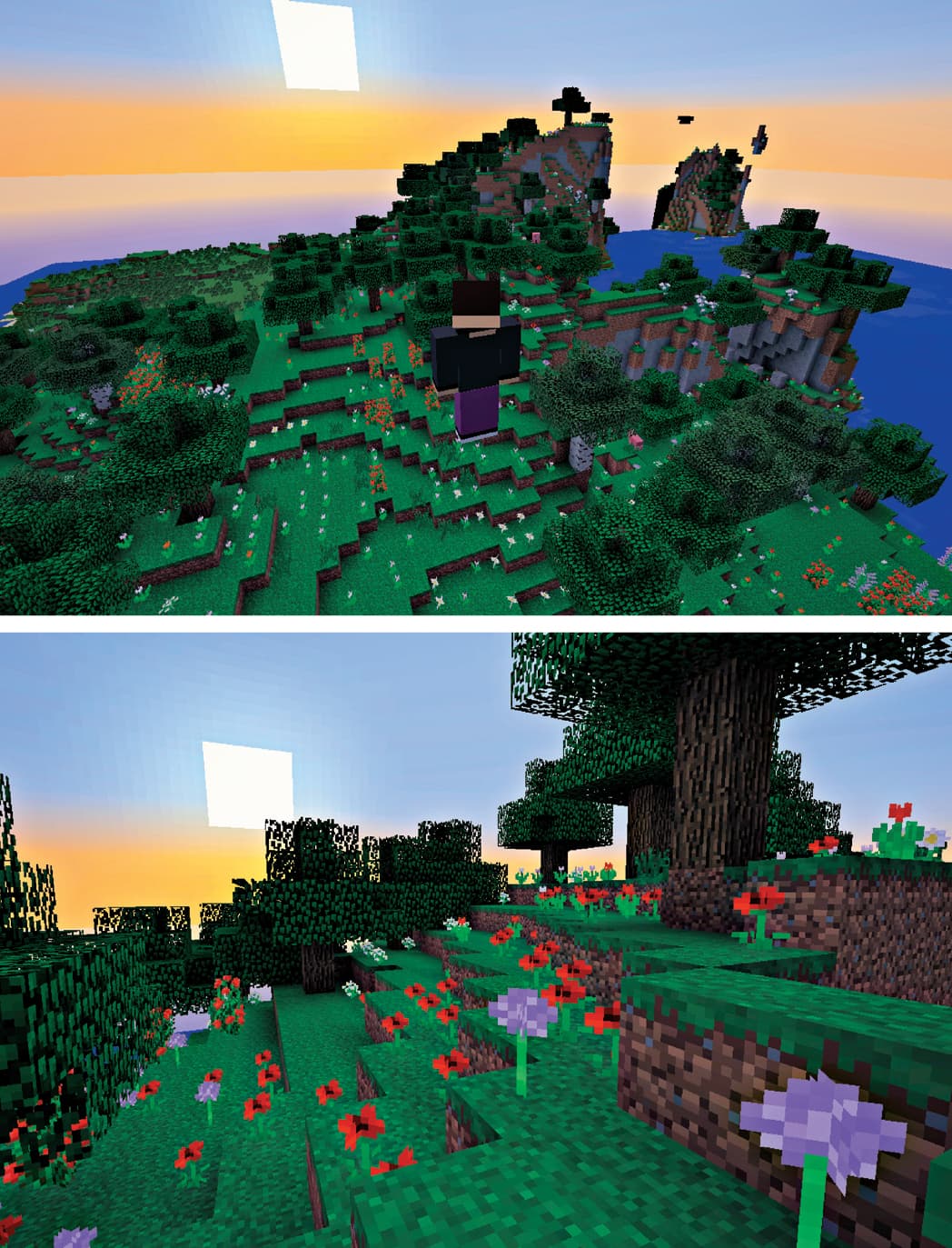 Adults might assume that playing Minecraft is just like playing any other video - photo 4