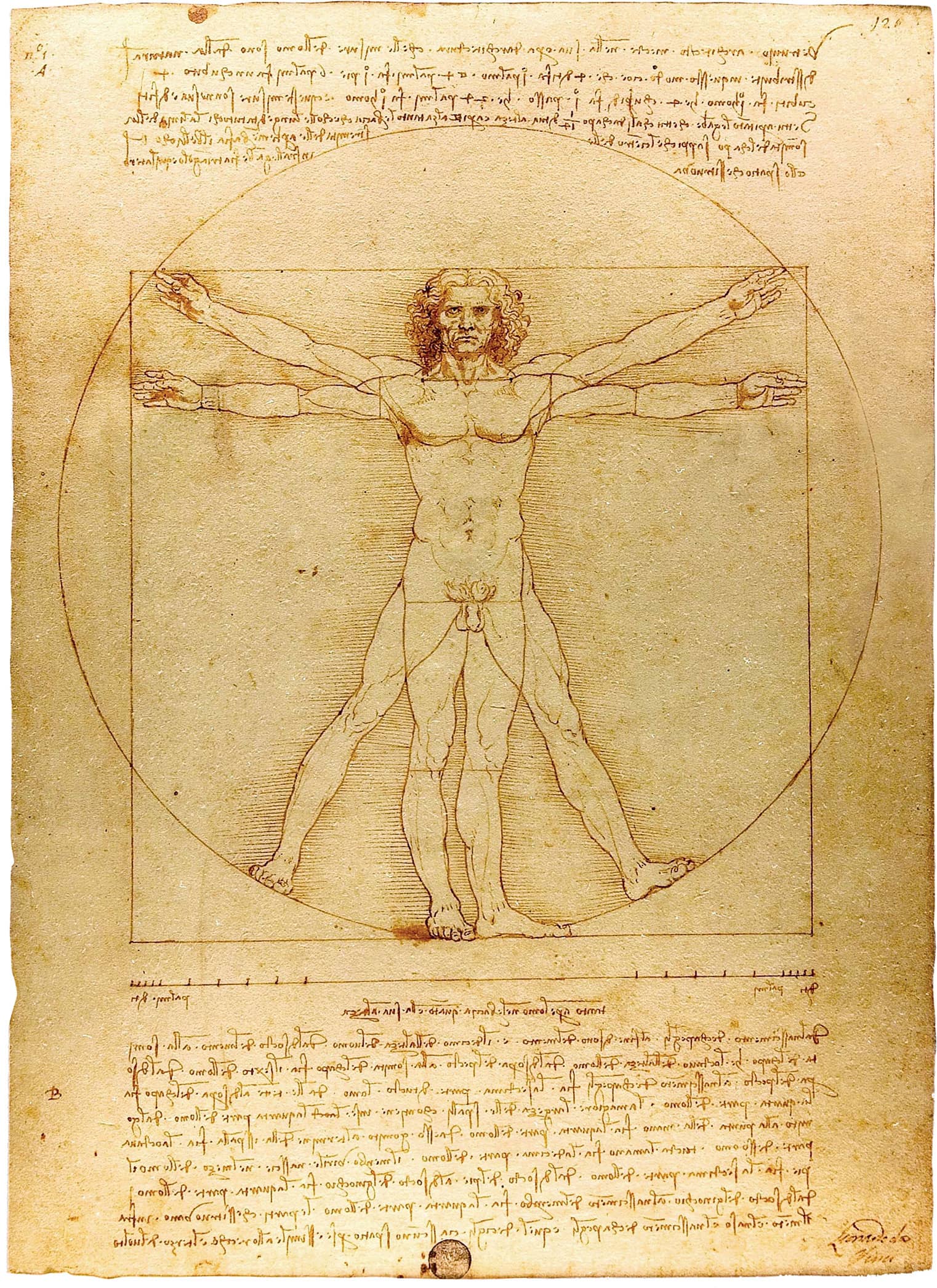 Vitruvian Man 1487 Leonardo da Vinci Italian 14521519 Introduction - photo 3