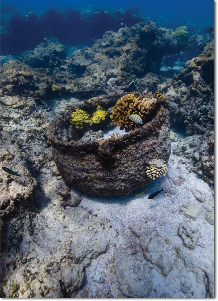 This trypot turned reef is from the whale ship Two Brothers And on his last - photo 5