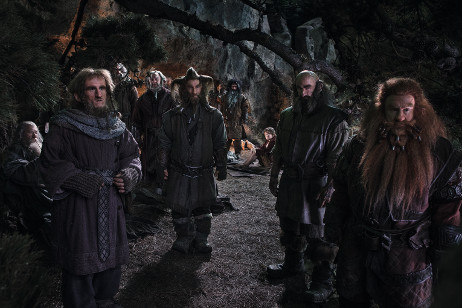 The Company of Thorin Oakenshield I t is December 2012 and for the - photo 5