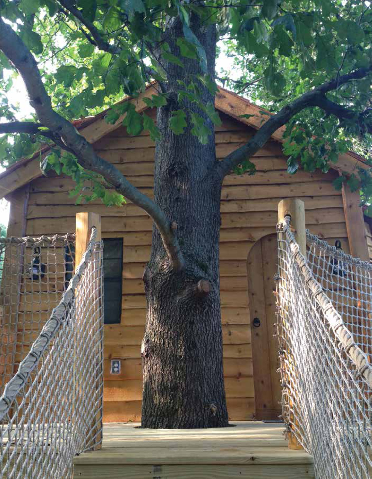 Backyard Treehouses Building Plans Tips and Advice - image 6
