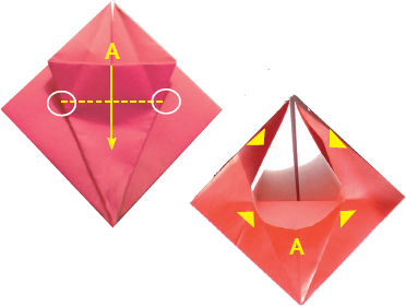 9Fold the triangular flap up 10Pull the points apart 11Push the - photo 29