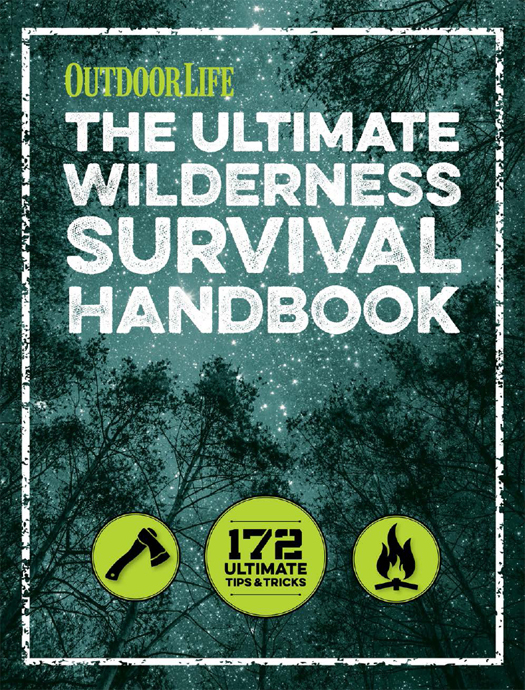 The Ultimate Wilderness Survival Handbook 172 Ultimate Tips and Tricks - image 1