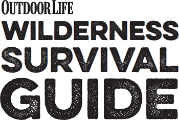 The Ultimate Wilderness Survival Handbook 172 Ultimate Tips and Tricks - image 2