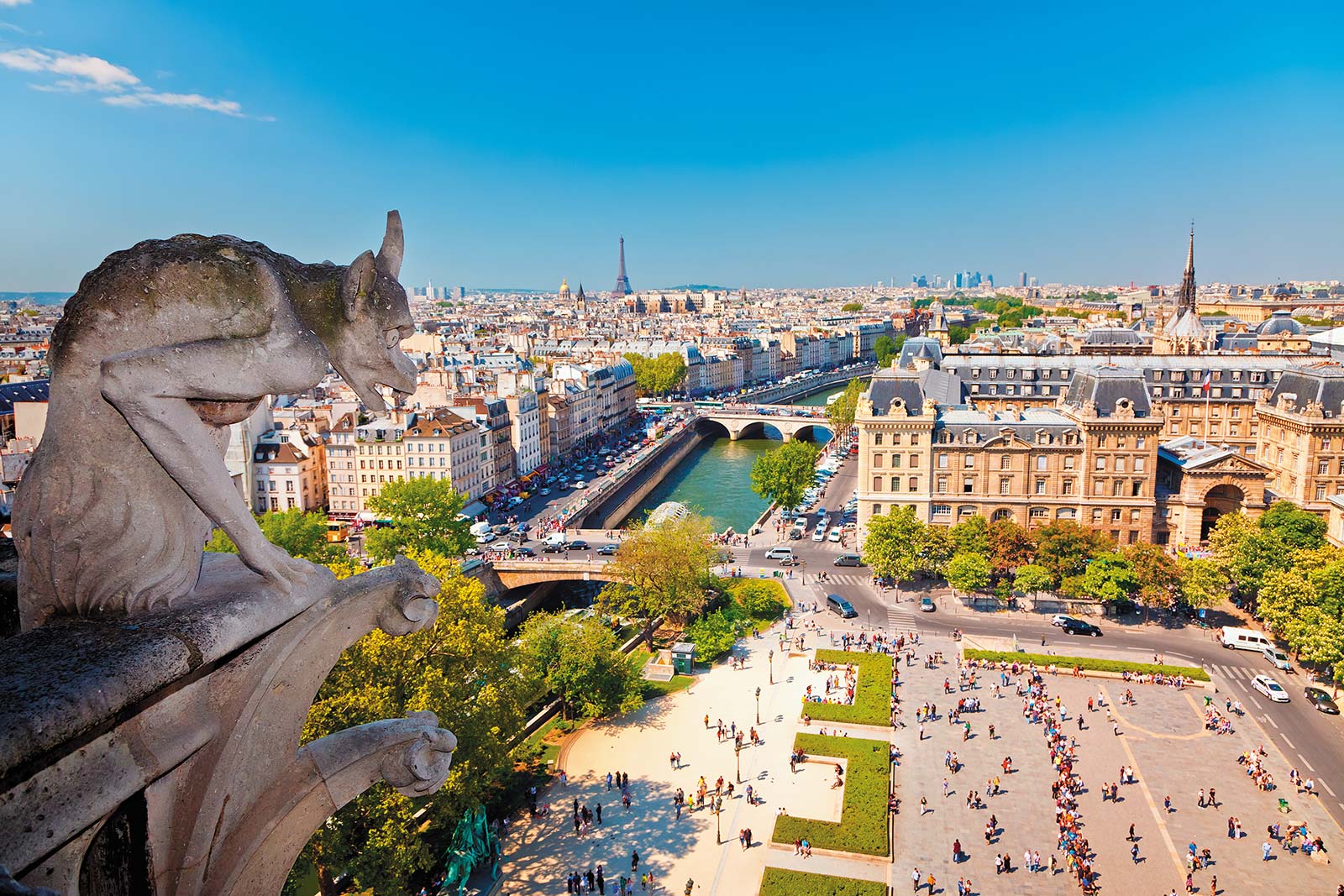 The grand view from atop Notre-Dame Cathedral stretches from the Seine River to - photo 15