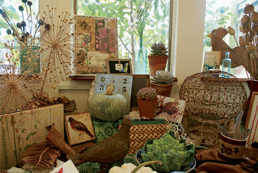 The nature table in the authors studio What you can do with one plant - photo 8