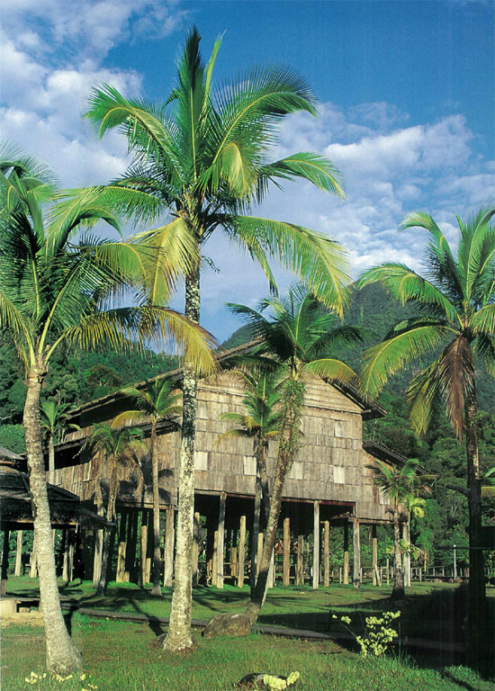 Longhouses were once a ubiquitous feature of the Bornean landscape Raised high - photo 1