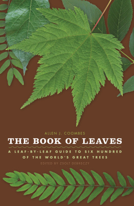 Allen J. Coombes - The Book of Leaves: A Leaf-by-Leaf Guide to Six Hundred of the World’s Great Trees