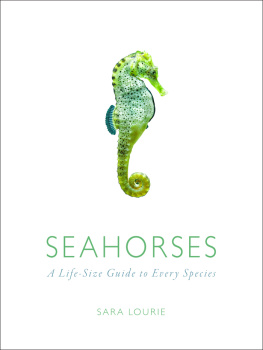 Sara A. Lourie - Seahorses: A Life-Size Guide to Every Species