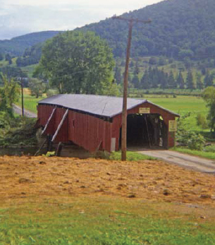 Hamden Bridge in Delaware County New York is shown in this 1972 photograph - photo 2