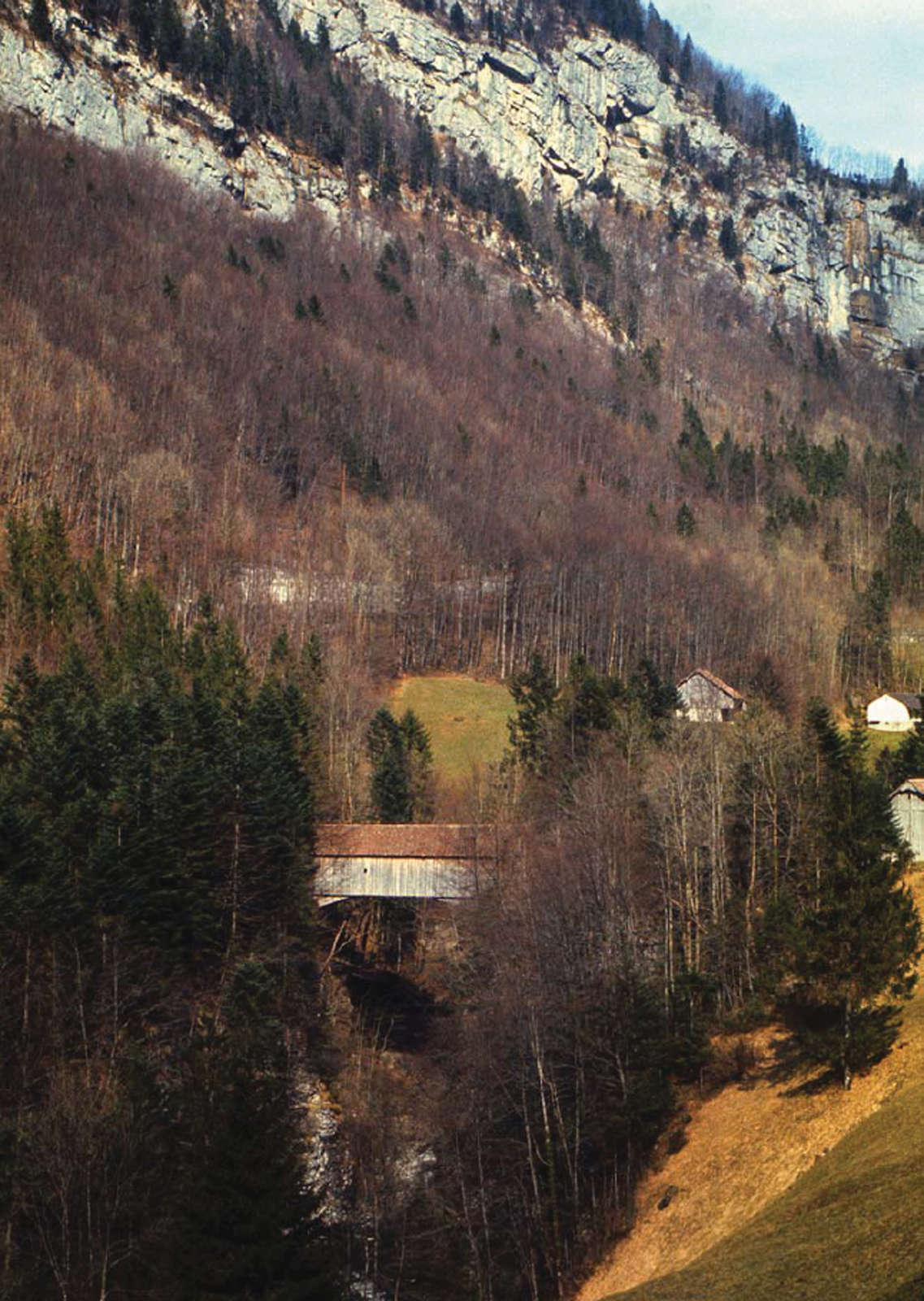 Suvorov Bridge graces the alpine landscape of Canton Schwyz in Switzerland - photo 6