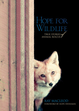 Ray MacLeod Hope for Wildlife: True Stories of Animal Rescue