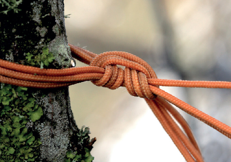 What Knots Are Included Of literally thousands of knots and similar ropework - photo 4