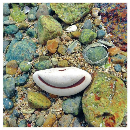 Sea glass makes us happy This pottery shard found in Yorkshire England - photo 1