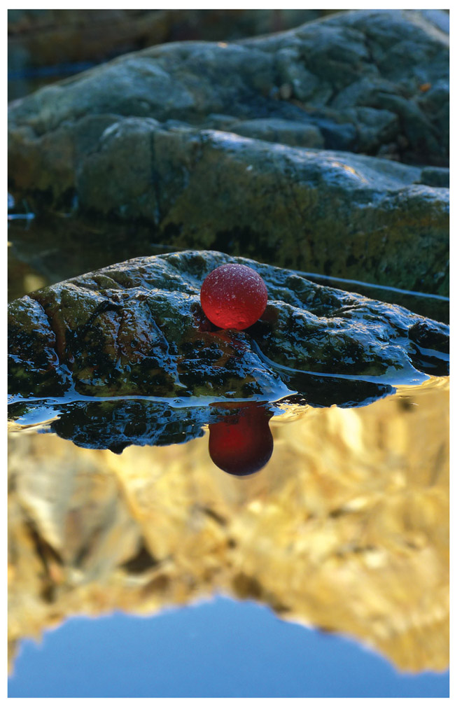 This marble may have come from a seaside arcade or perhaps its a remnant of a - photo 2