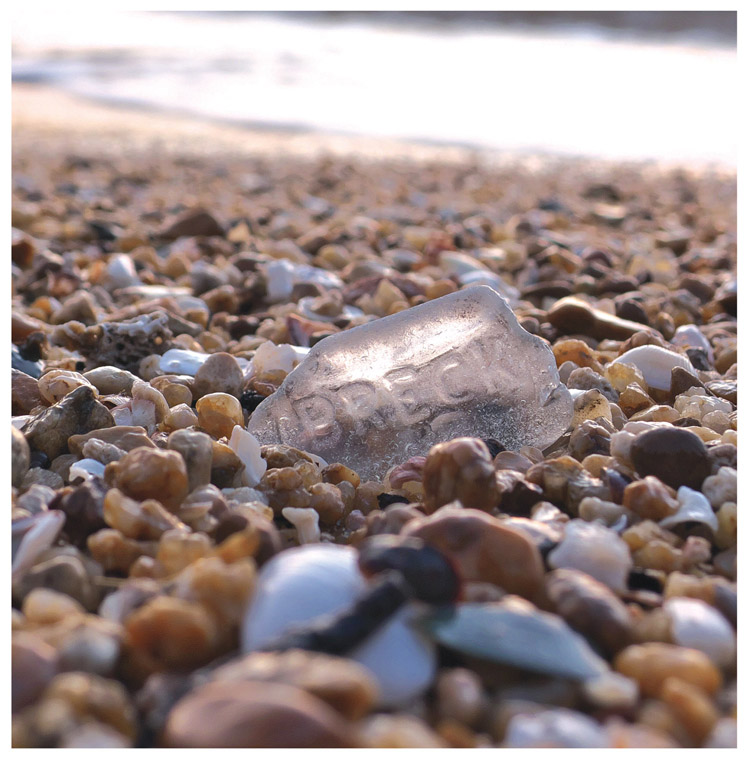 Found in Fort Bragg California this shampoo bottle bottom circa 1950s - photo 8