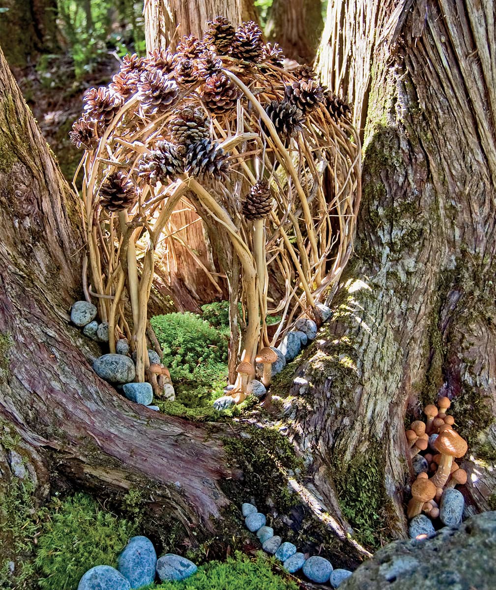 The Cedar Basket House This ephemeral structure encloses the charming space - photo 6