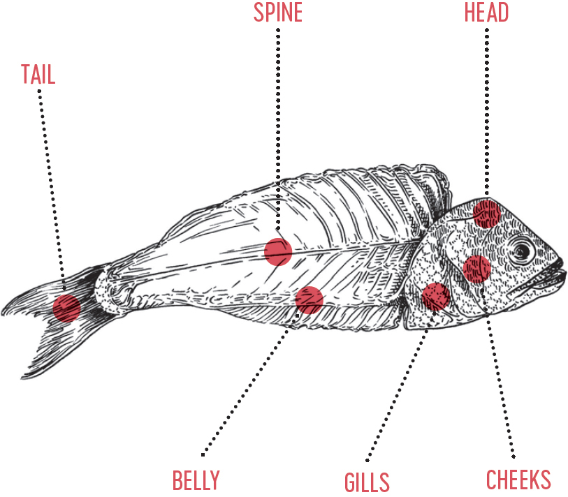 How to Eat a Lobster And Other Edible Enigmas Explained - photo 12