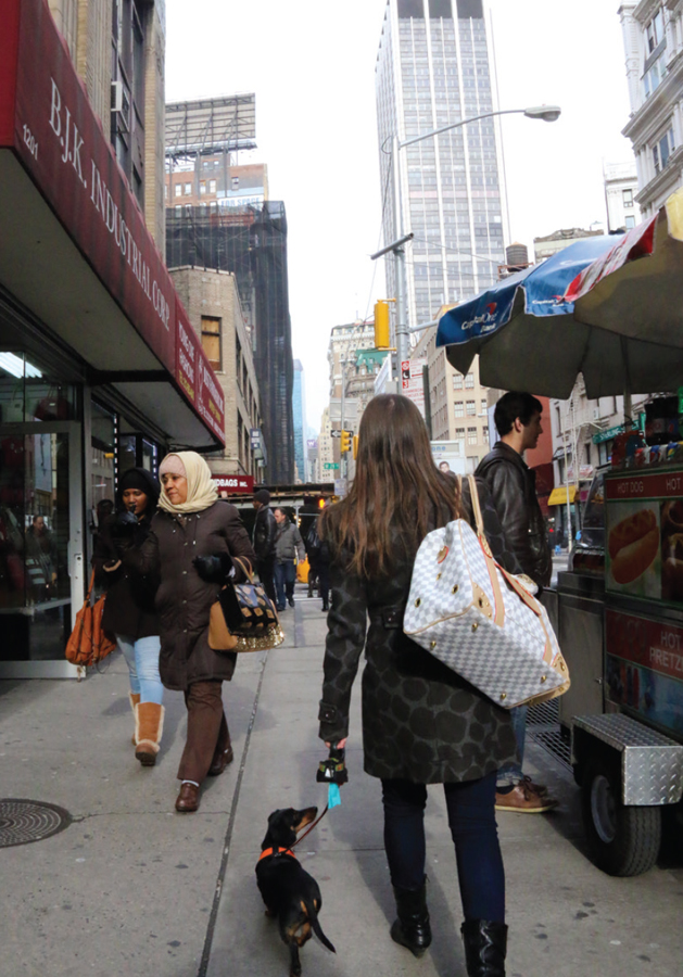 New York can easily overwhelm you with all the people smells and loud noises - photo 16